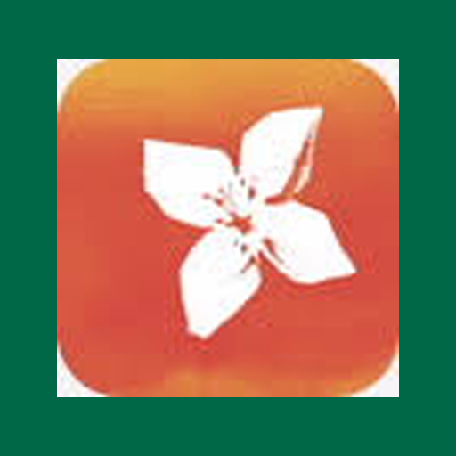 Logo BPINETEMPRESAS Taça Portugal